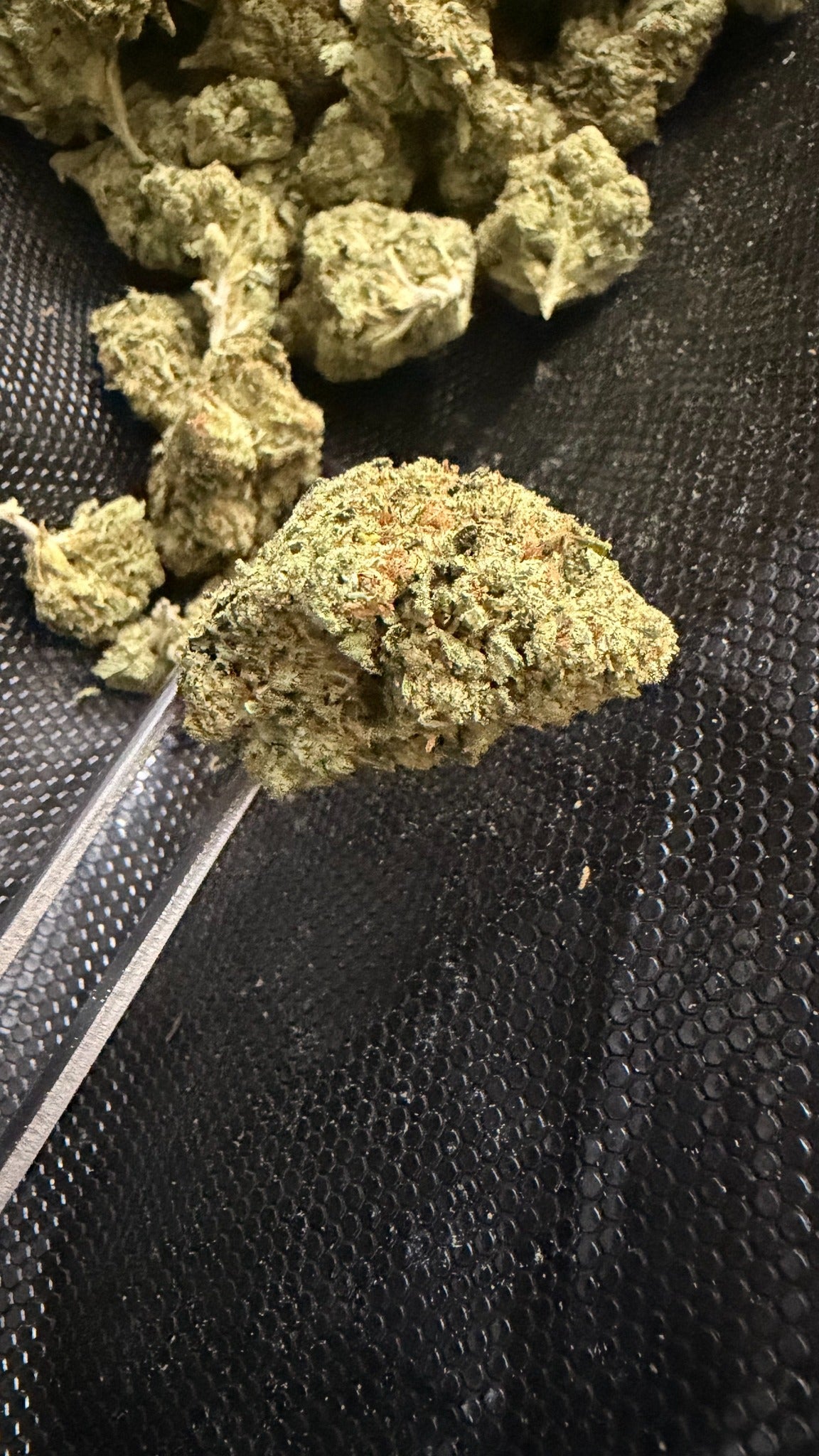 Godfather OG THCa flower buds