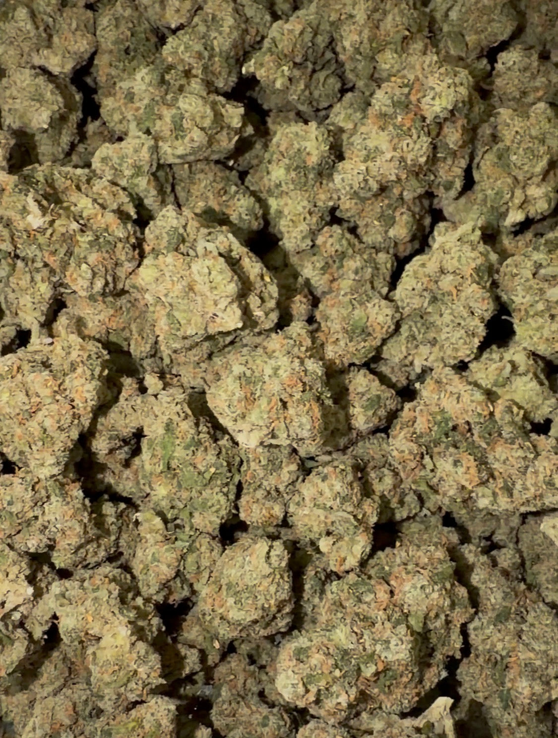 Maui Wowie THCa Flower