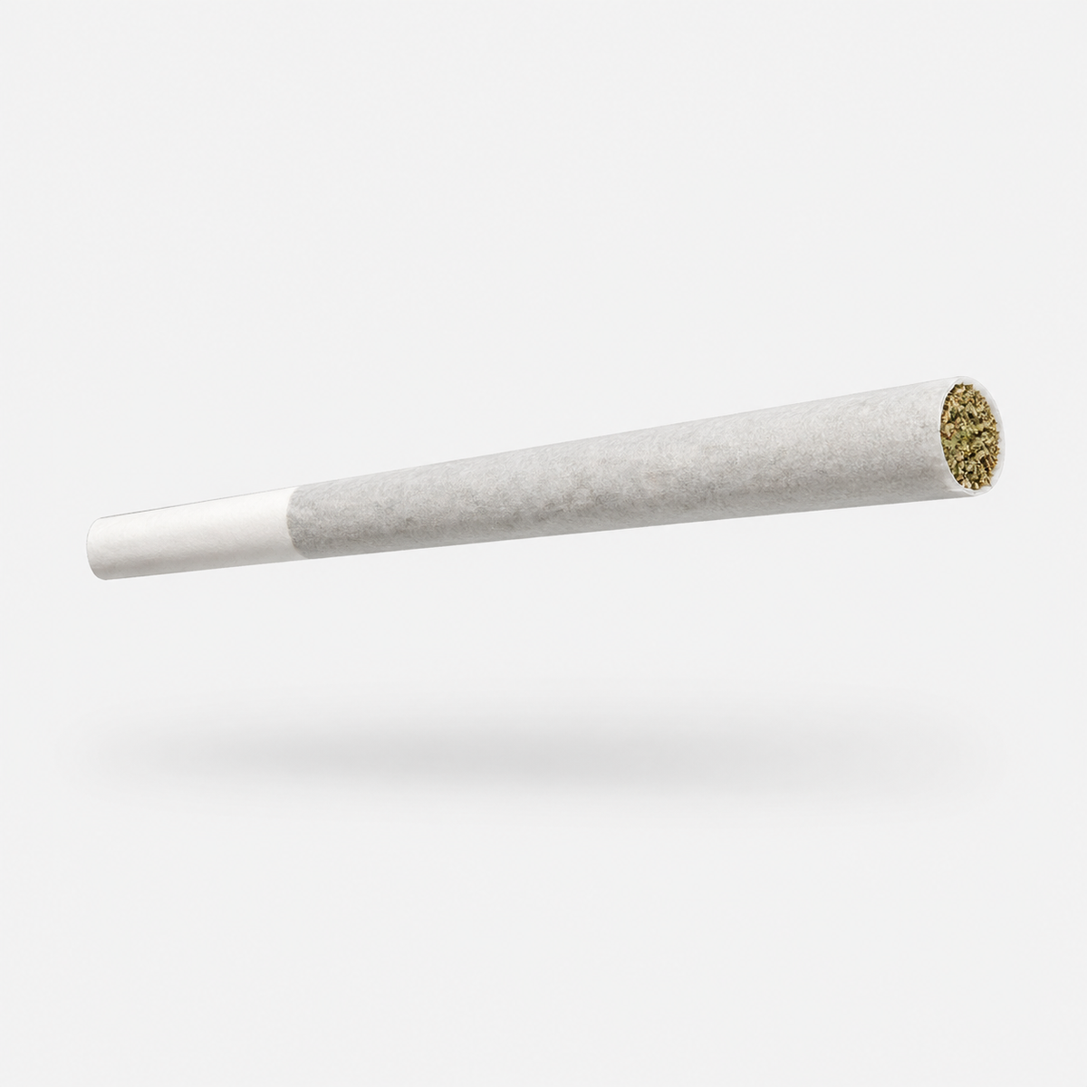 BANJO — SATIVA