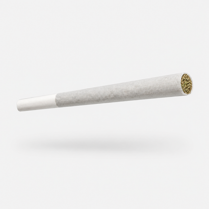 BANJO — SATIVA