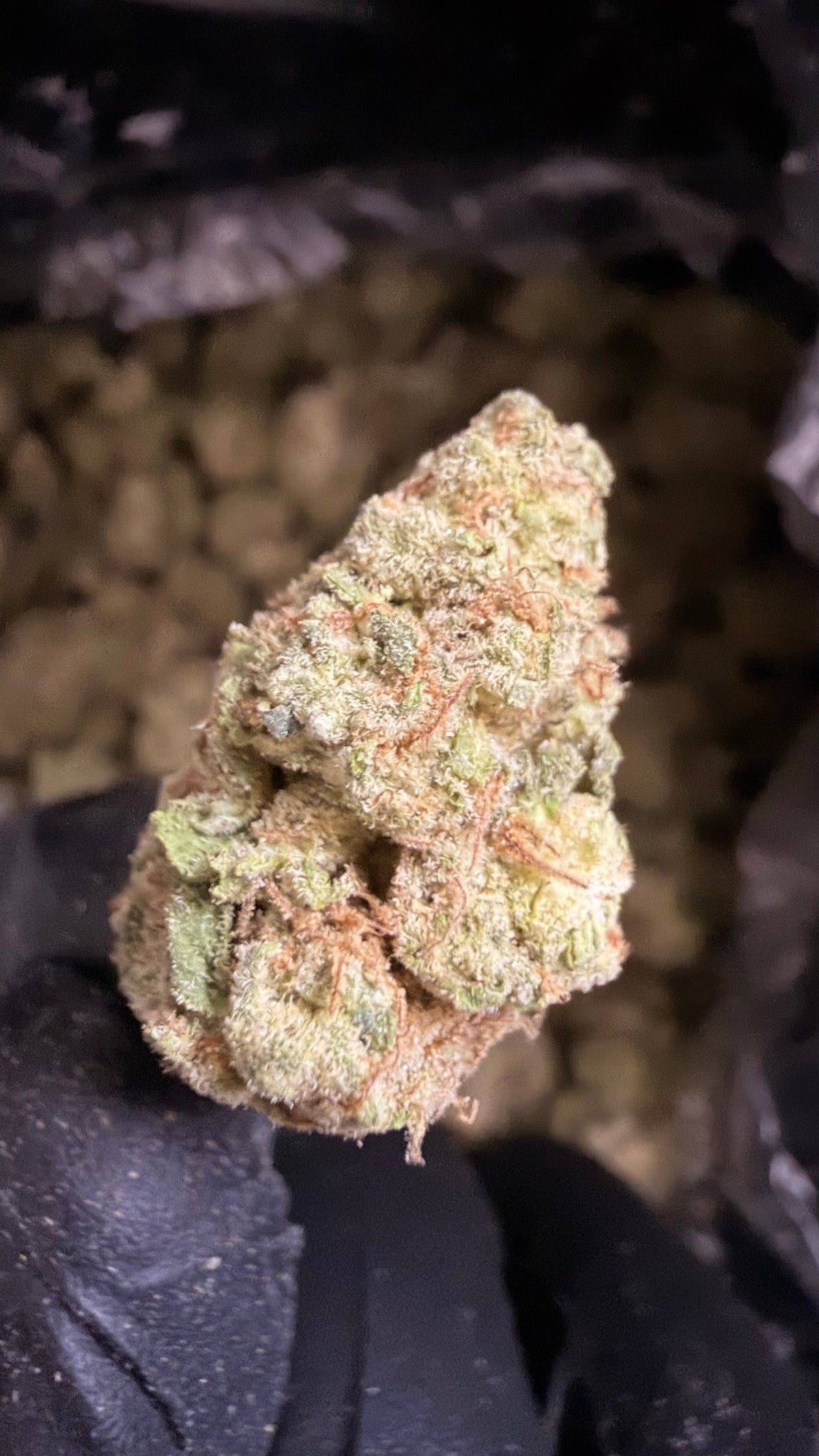 Cheetah Piss THCa Flower 🐆⛽