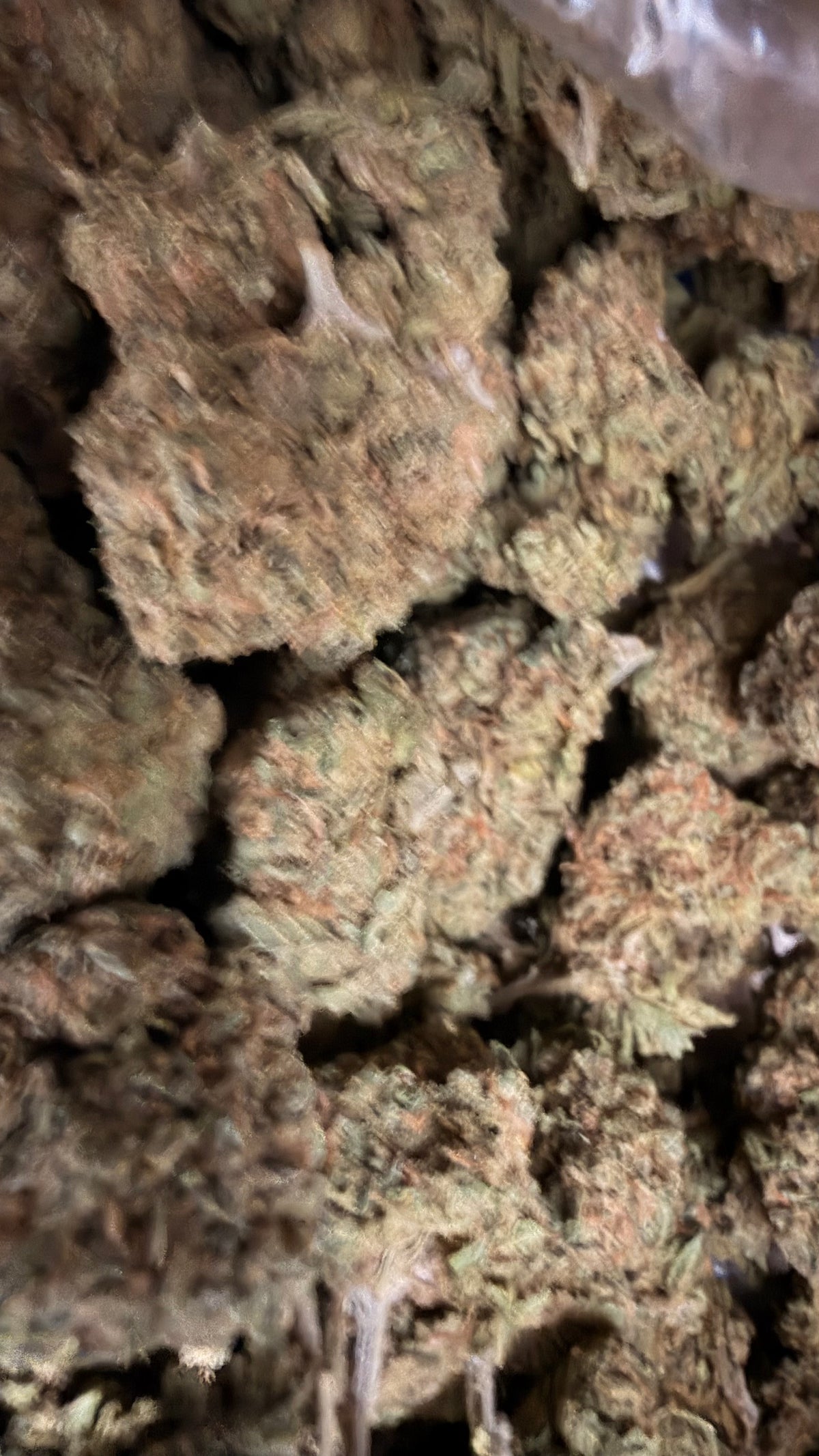 OMEGA RUNTZ THCa FLOWER 🌌🍬