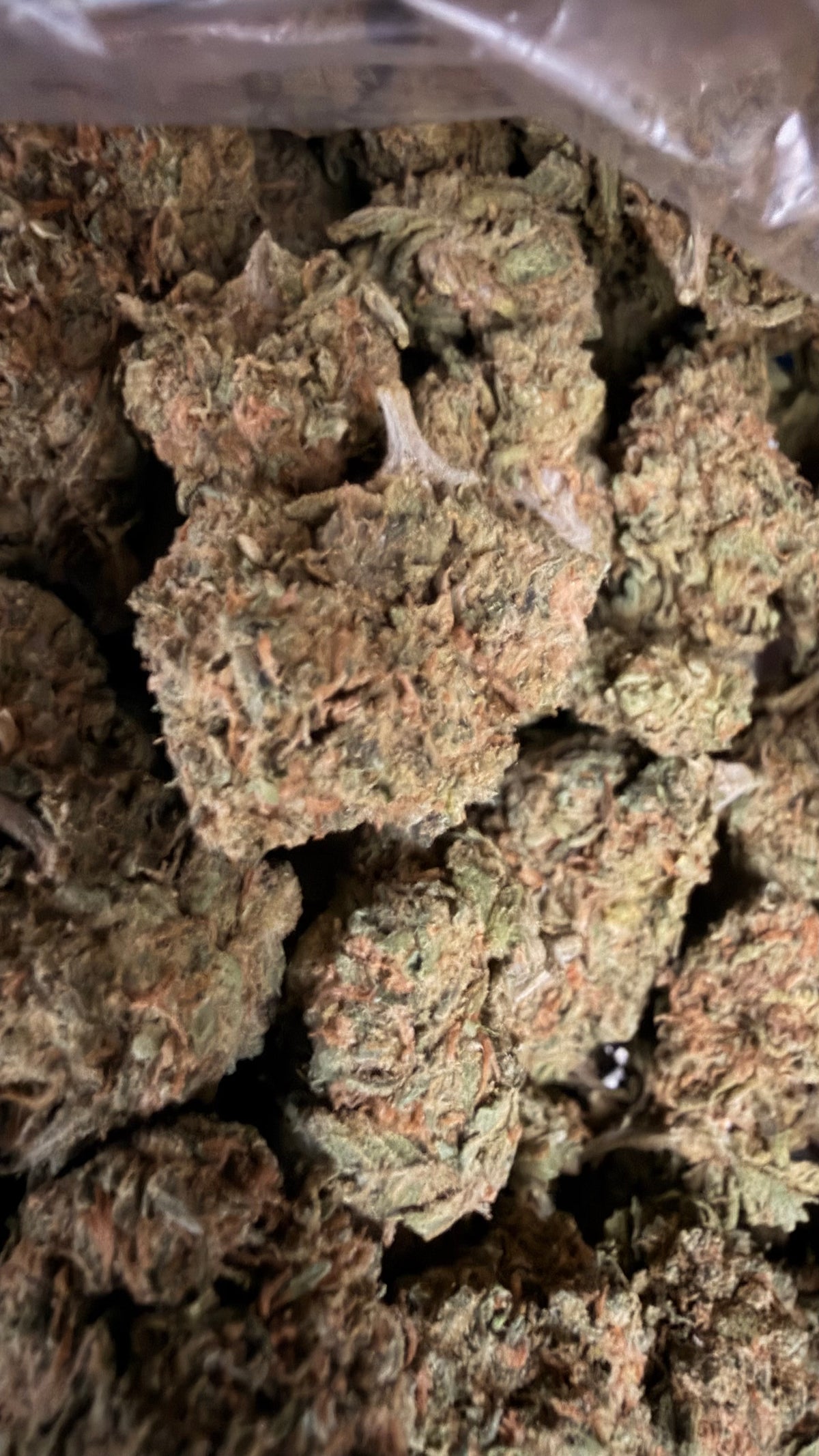OMEGA RUNTZ THCa FLOWER 🌌🍬