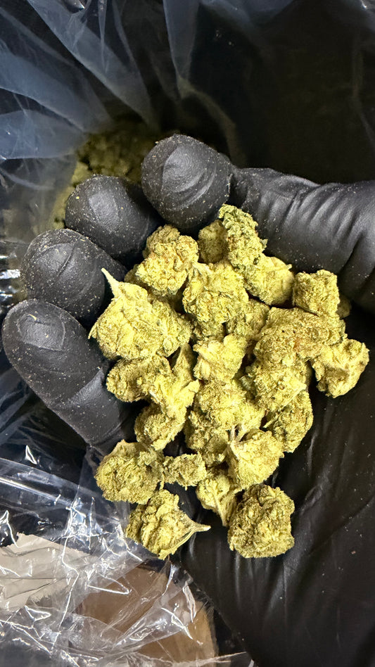 BANJO — SATIVA