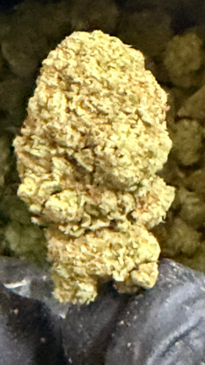 BANJO — SATIVA