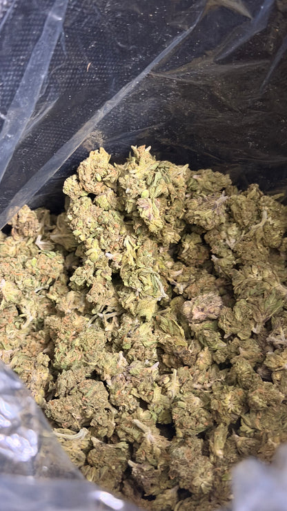 BURGER BREATH — INDICA