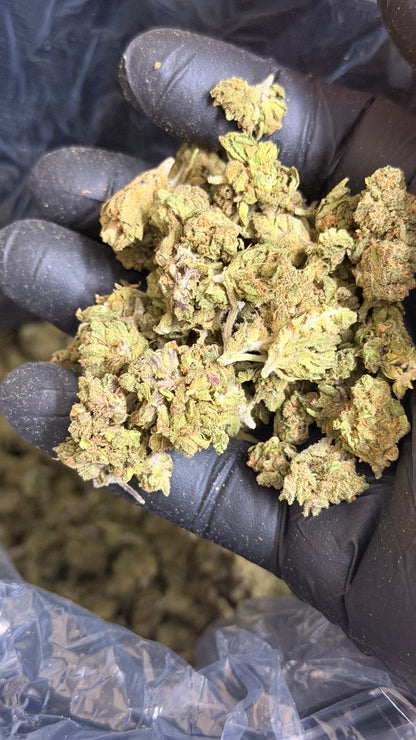 BURGER BREATH — INDICA