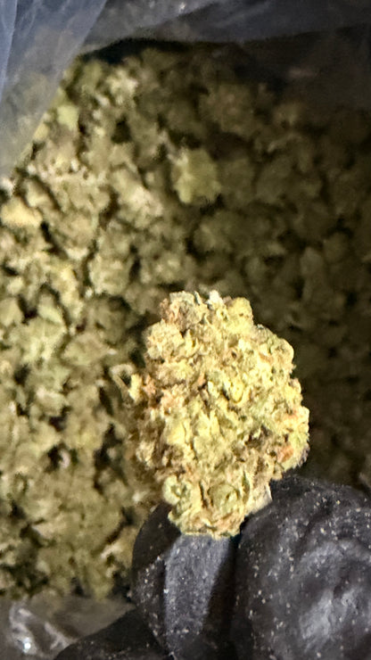 BURGER BREATH — INDICA