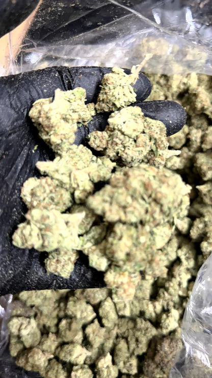 Blueberry Muffins CBD flower