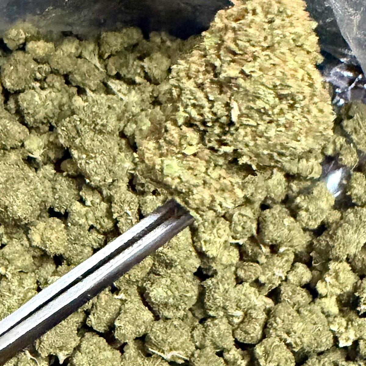 Gary Cherry THCa flower macro close-up – Ganja Mon