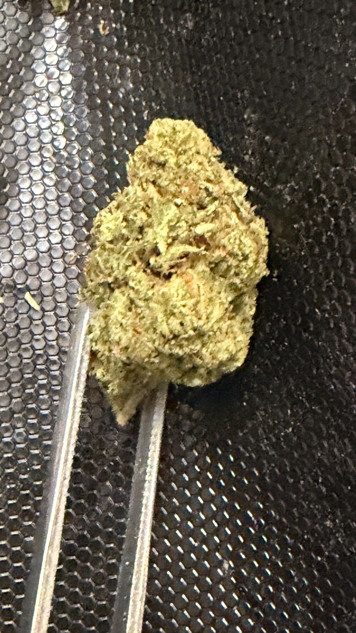 Godfather OG THCa flower close-up
