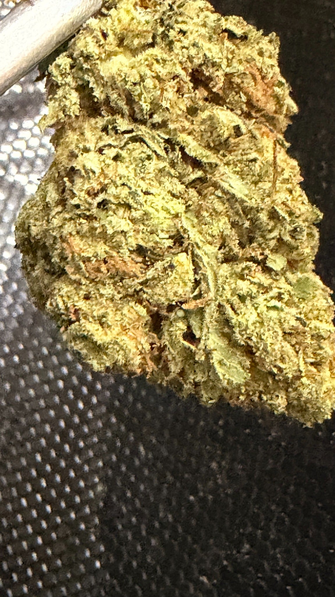 Godfather OG THCa flower macro close-up
