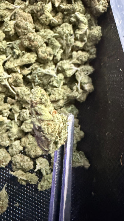 Lemon Kush THCa flower small buds macro
