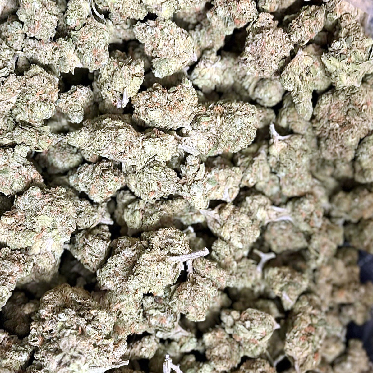Panama Red THCa flower macro close-up – Ganja Mon