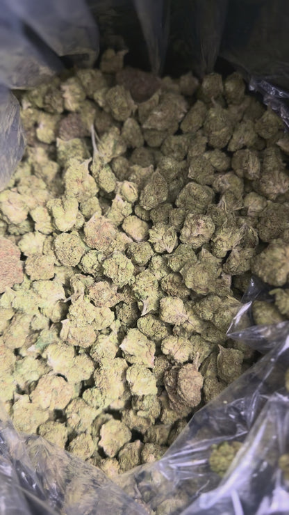 BANJO — SATIVA