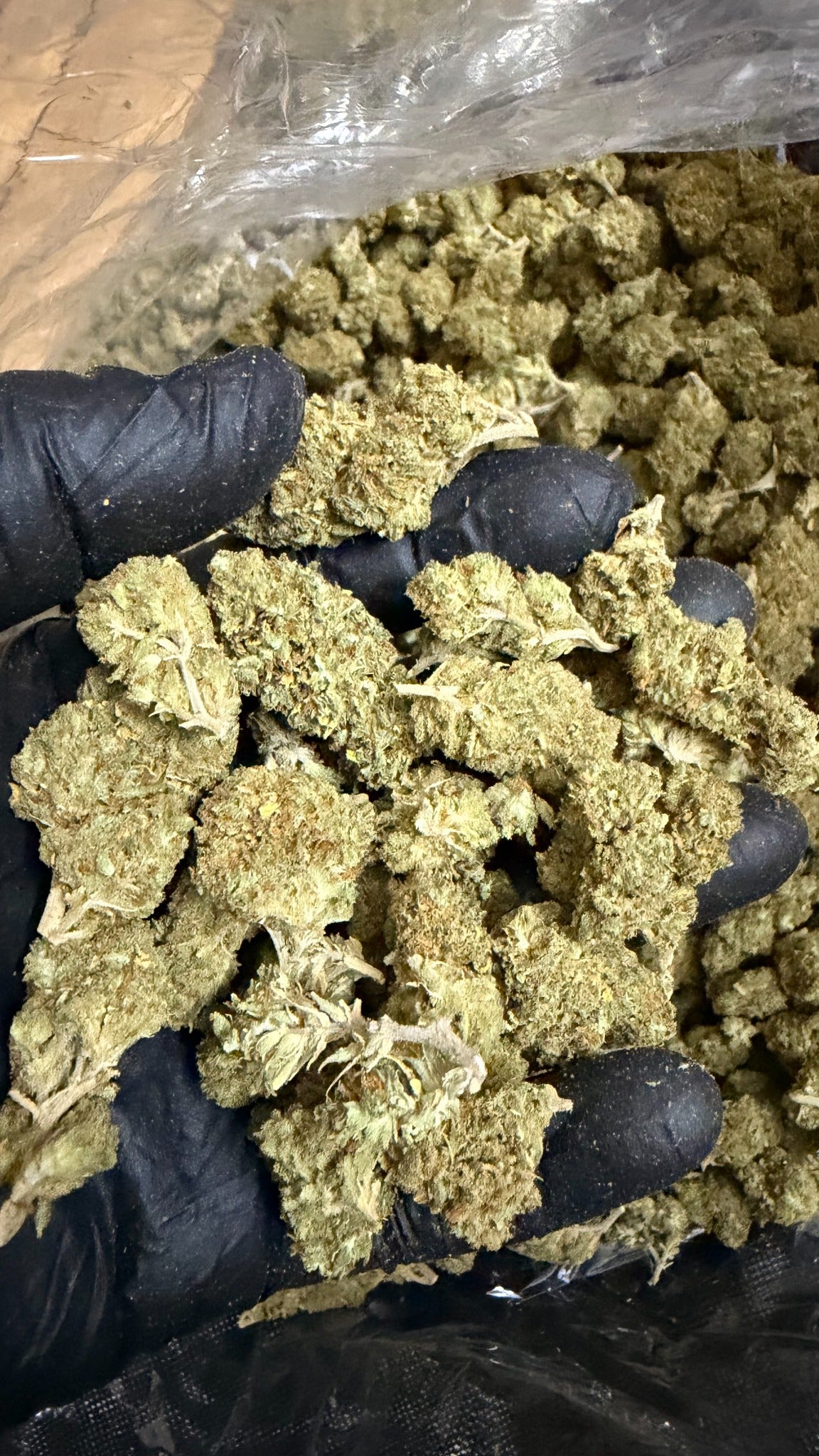 Super Lemon Haze CBD flower